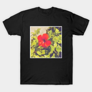 Pretty Red Flower with green leaves nature lovers beautiful photography design T-Shirt